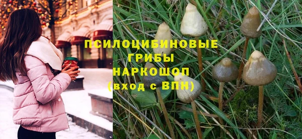 шишки Верея